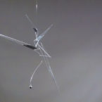 Mobile Art Sculpture